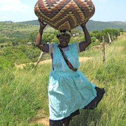Baskets of Africa