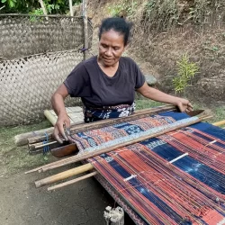 Textile Tours led by Dr. Linda S. McIntosh