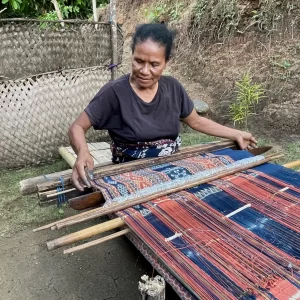 Textile Tours led by Dr. Linda S. McIntosh